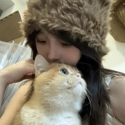 龙公主的冒险